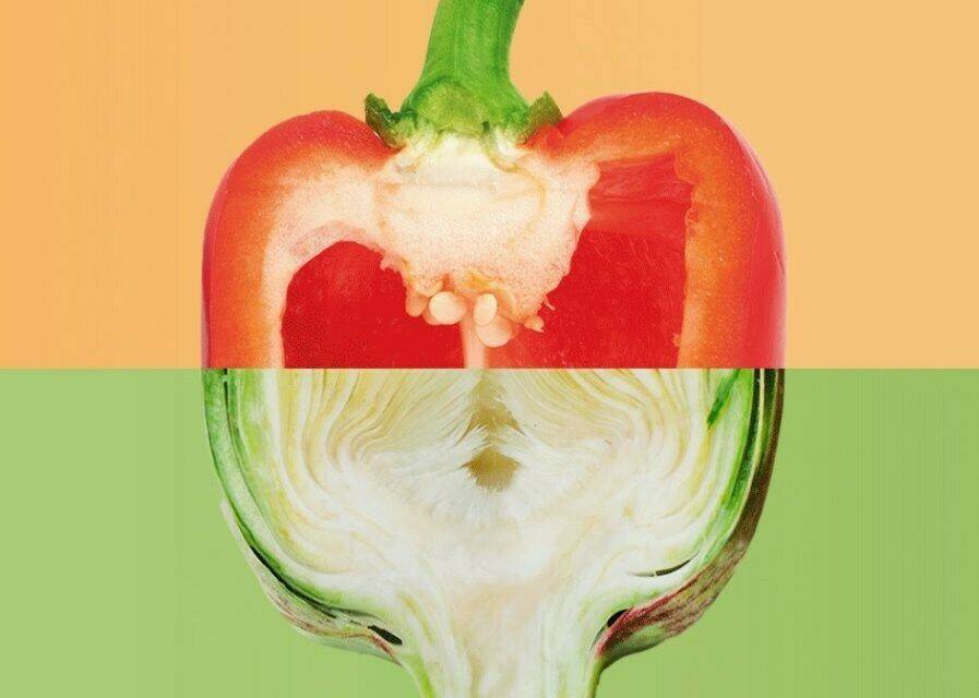 agroalimentación 2 897x640